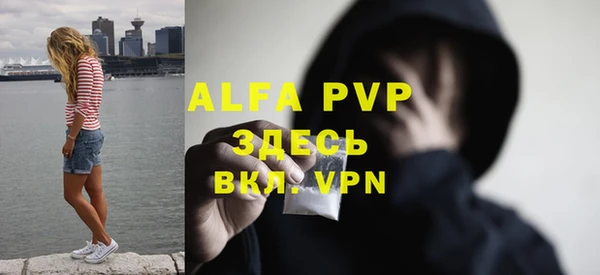 дмт Ростов