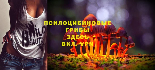 МДМА Рославль